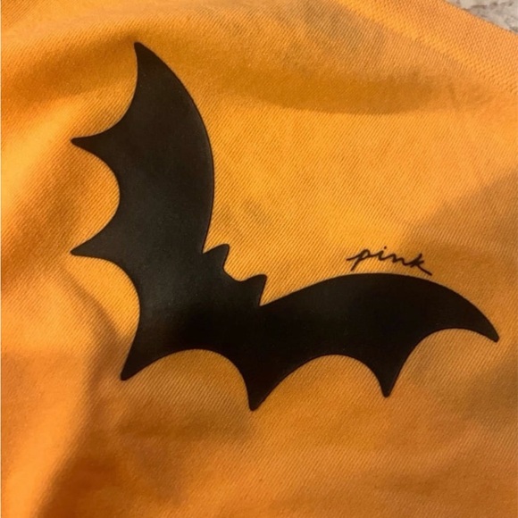 VS PINK Halloween Panty Hipster Large NWT - Picture 4 of 4